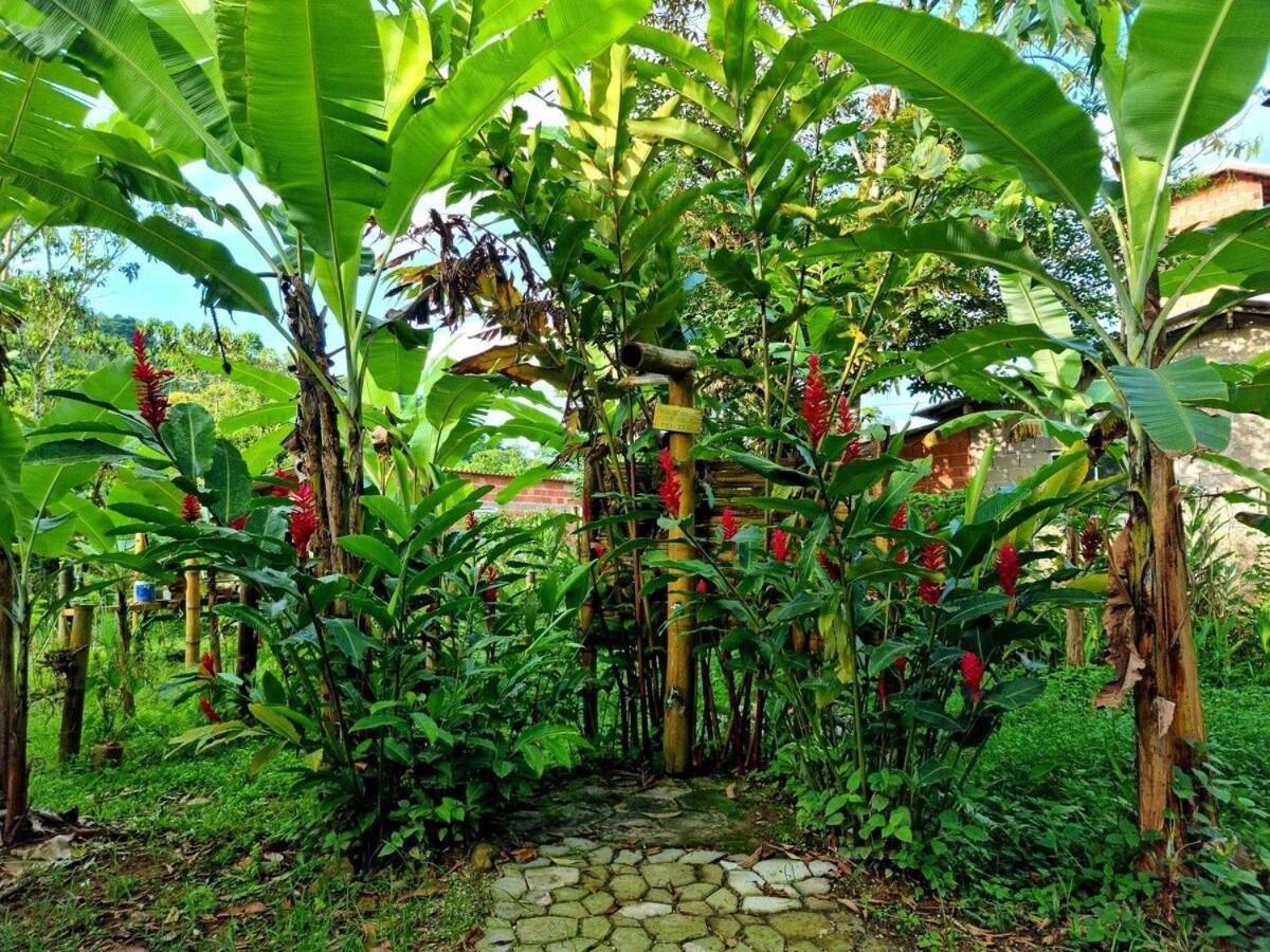 Cambuca Surf Skate Villa Ubatuba Exterior foto
